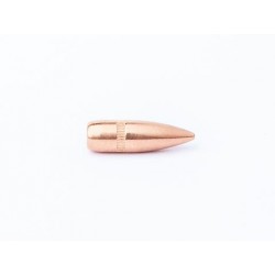 OGIVES CAMPRO  222/223 55gr FMJ BT x500